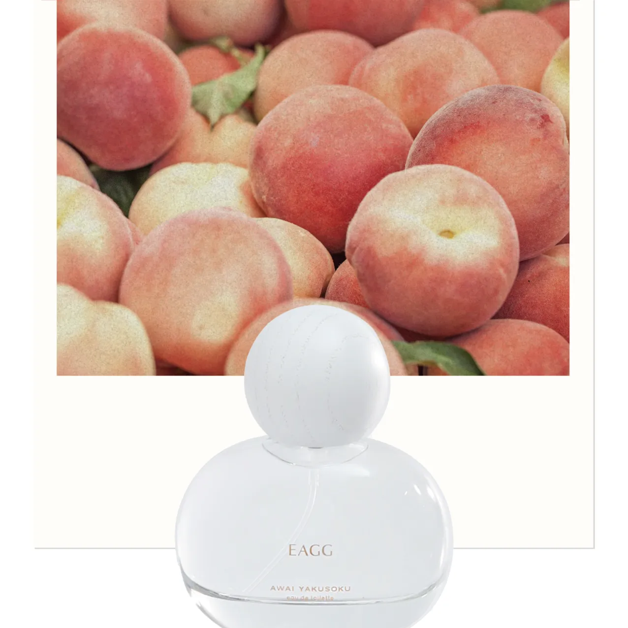 EAGG Faint Promise（あわい約束）EDT